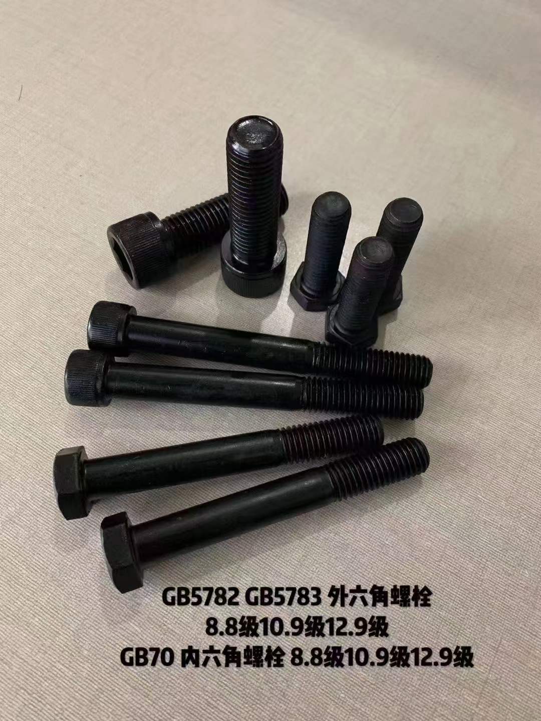 微信圖片_20241101123703.jpg